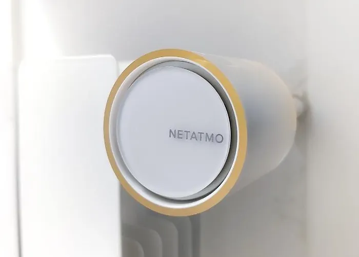 Primaticcio 6